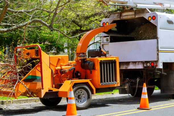 Best Tree Trimming and Pruning  in Downers Grove, IL